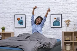 Bestway Tough Guard Air Mattress Twin 18 With Built-In Ac Pump And Antimicrobial Coating Cheap