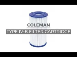 Bestway Coleman Type Iv-B Filter Cartridge 2-Pack Cheap
