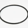 Bestway Filter Cap Seal For 2500 Gal. Flowclear Filter Pump Clearance