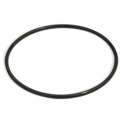 Bestway Filter Cap Seal For 2500Gal. Filter Pump Hot