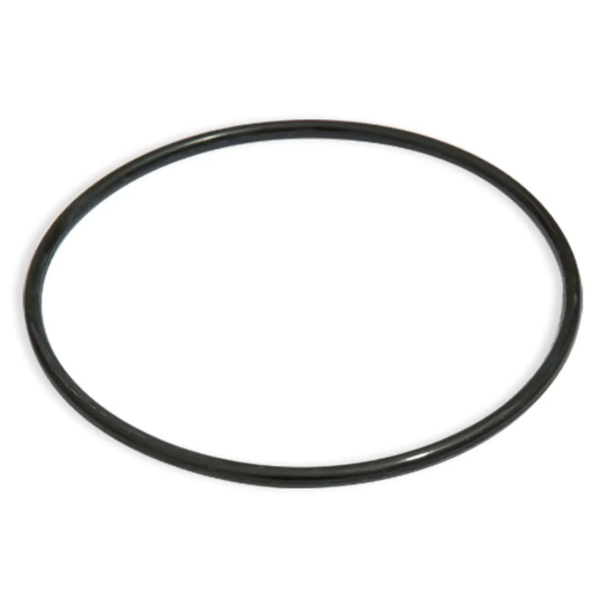 Bestway Filter Cap Seal For 2500Gal. Filter Pump Hot