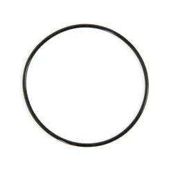 Bestway O-Ring For 1000 Gal Flowclear Sand Filter Cheap